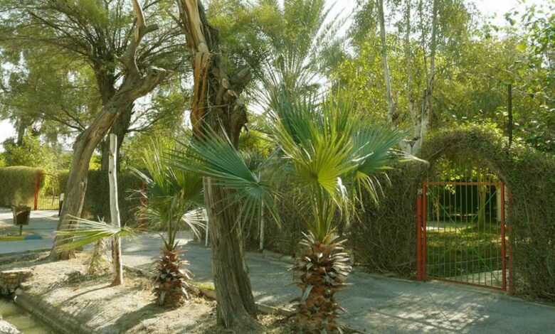 ماجرای واگذاری 100 خانه پالایشگاه آبادان